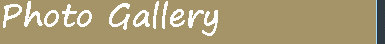 leftbankmay_17_2019003005.jpg